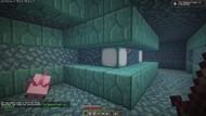 Healing power of friendship advancement after the regeneration effect applies (Image via Mojang)